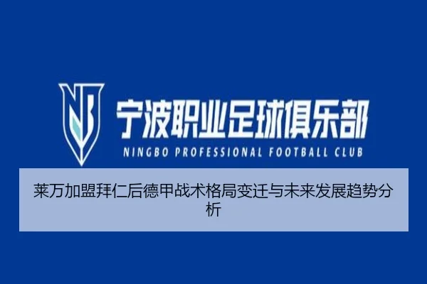 莱万加盟拜仁后德甲战术格局变迁与未来发展趋势分析