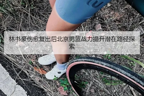 lin-shu-hao-shang-yu-fu-chu-hou-bei-jing-nan-lan-zhan-li-ti-sheng-qian-zai-lu-jing-tan-suo-2-400.jpg